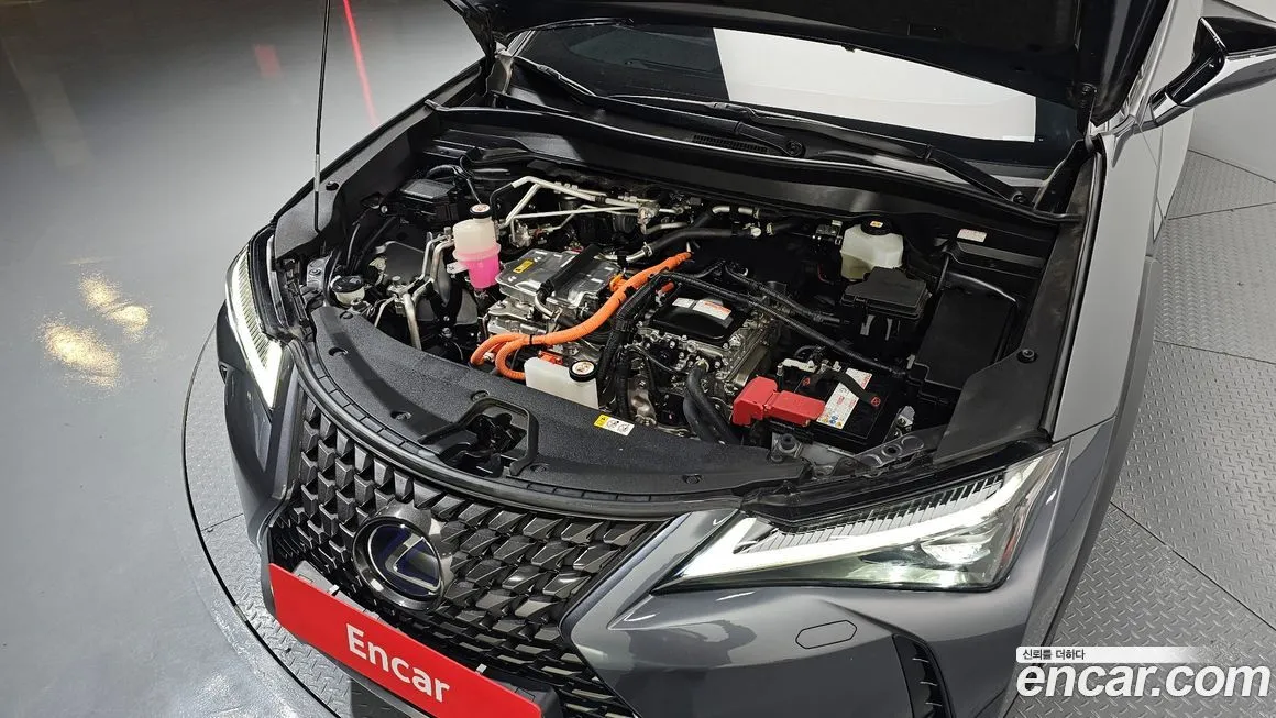 Lexus UX 2022 из KR, фото 8