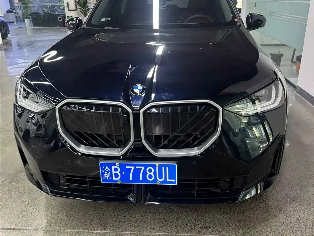 BMW X3 — фото 10