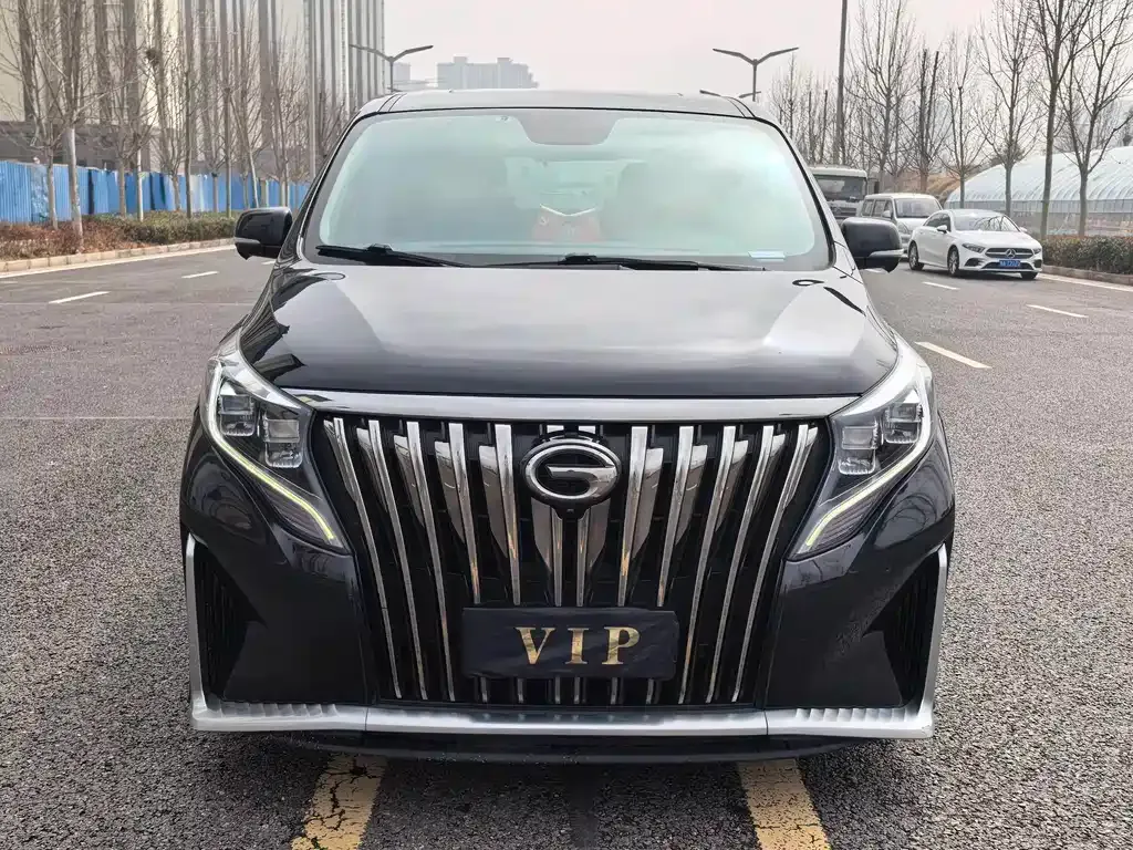 GAC Motor Trumpchi M8 2021 из CN, фото 9