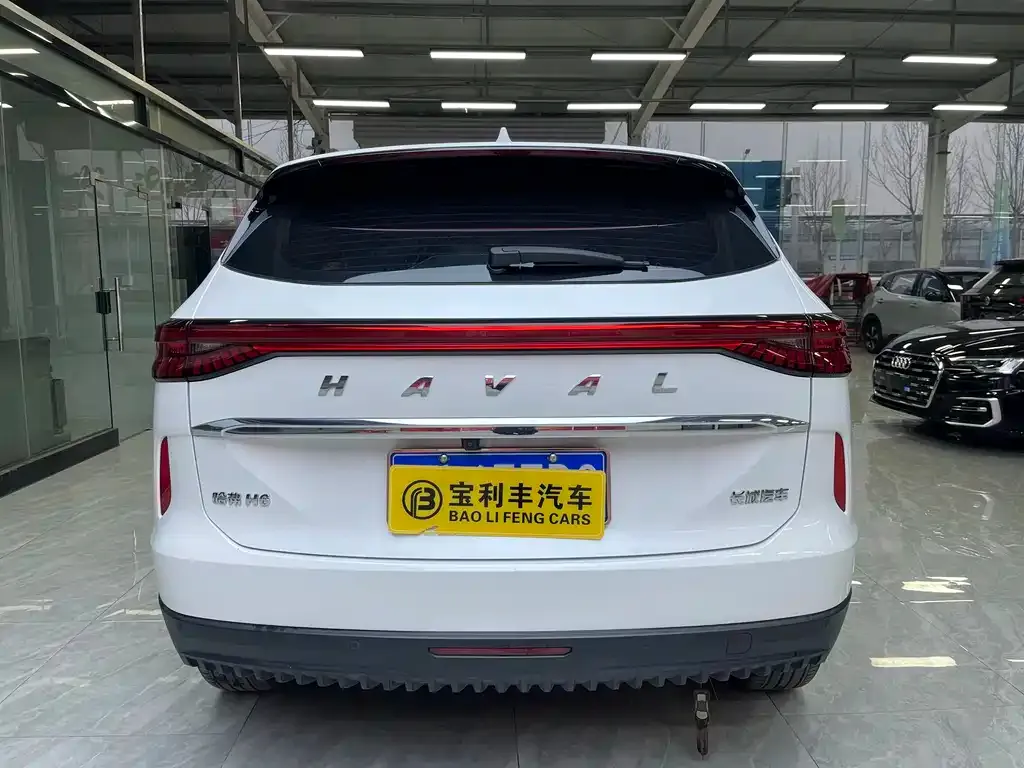 Haval H6 — фото 9