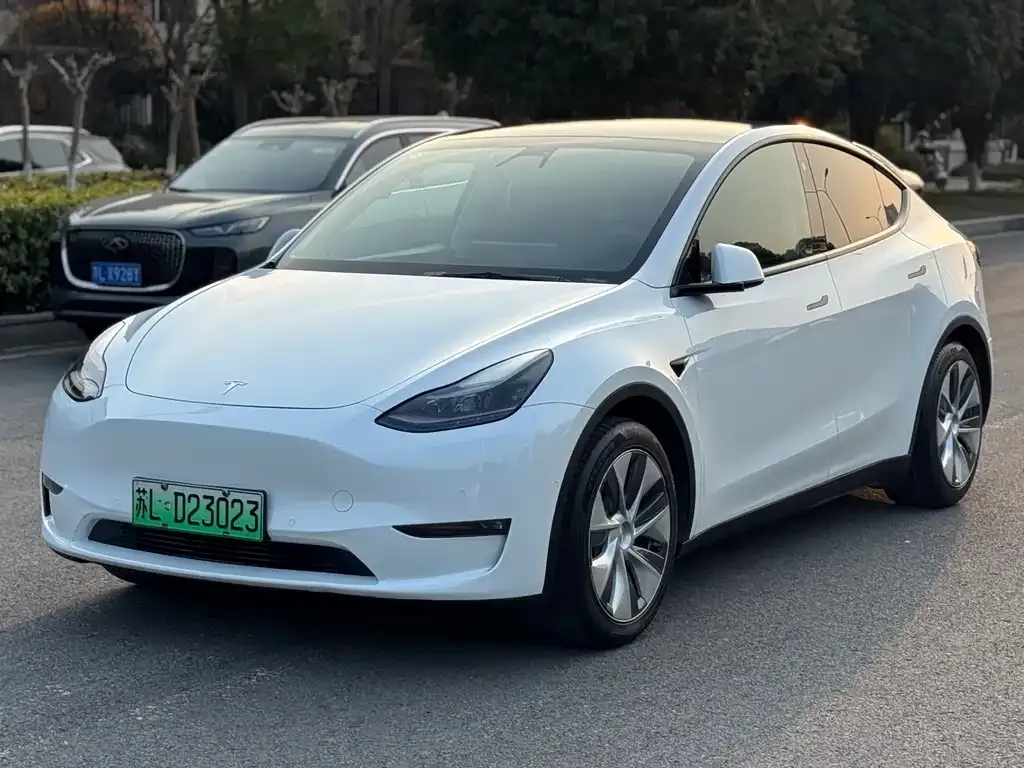 Tesla Model Y — фото 1