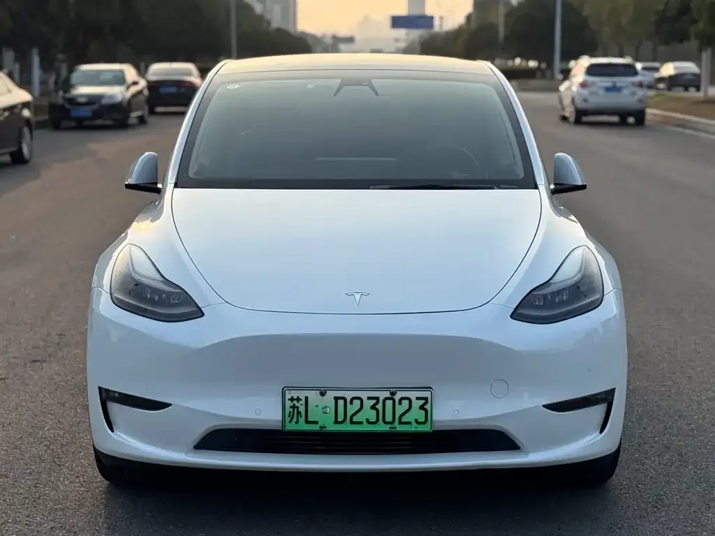 Tesla Model Y — фото 6