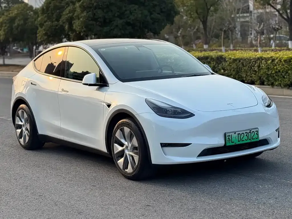 Tesla Model Y — фото 10