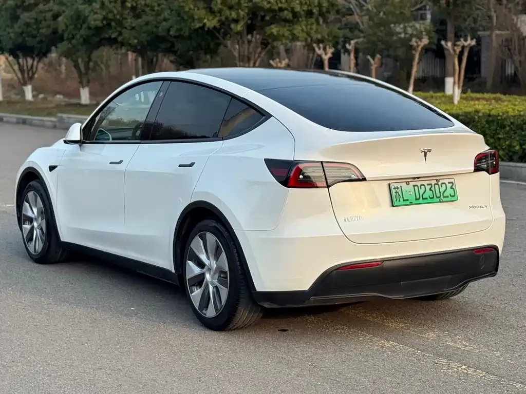 Tesla Model Y — фото 9