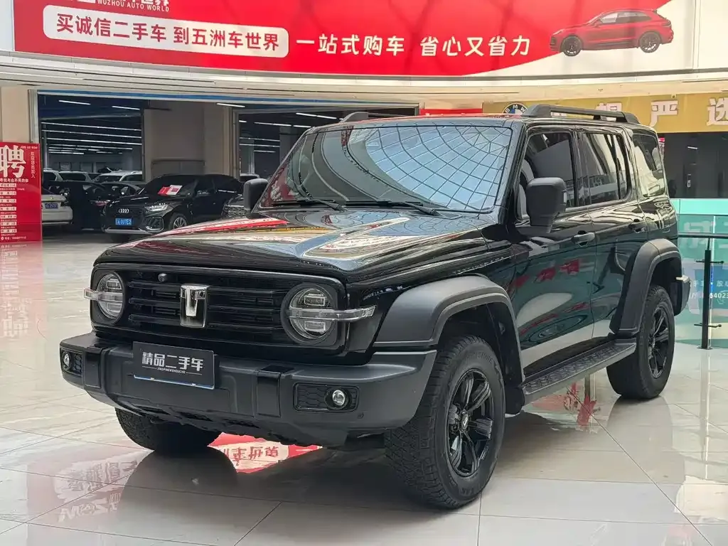 Tank 300 2024 из CN, фото 4