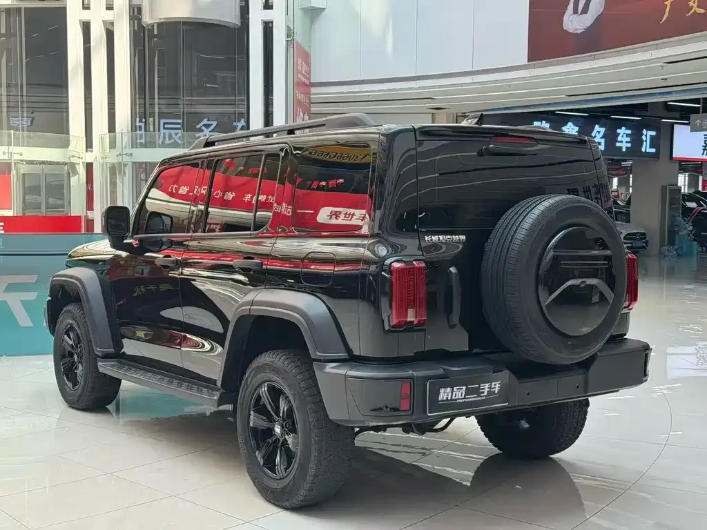 Tank 300 2024 из CN, фото 9