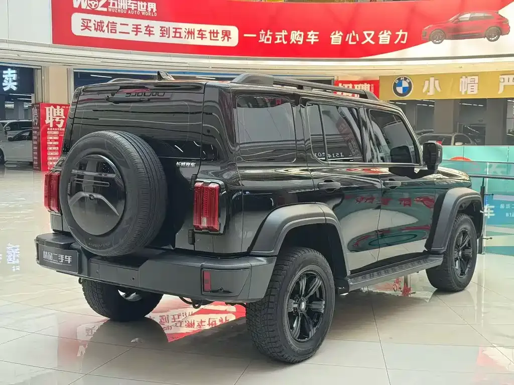 Tank 300 2024 из CN, фото 3