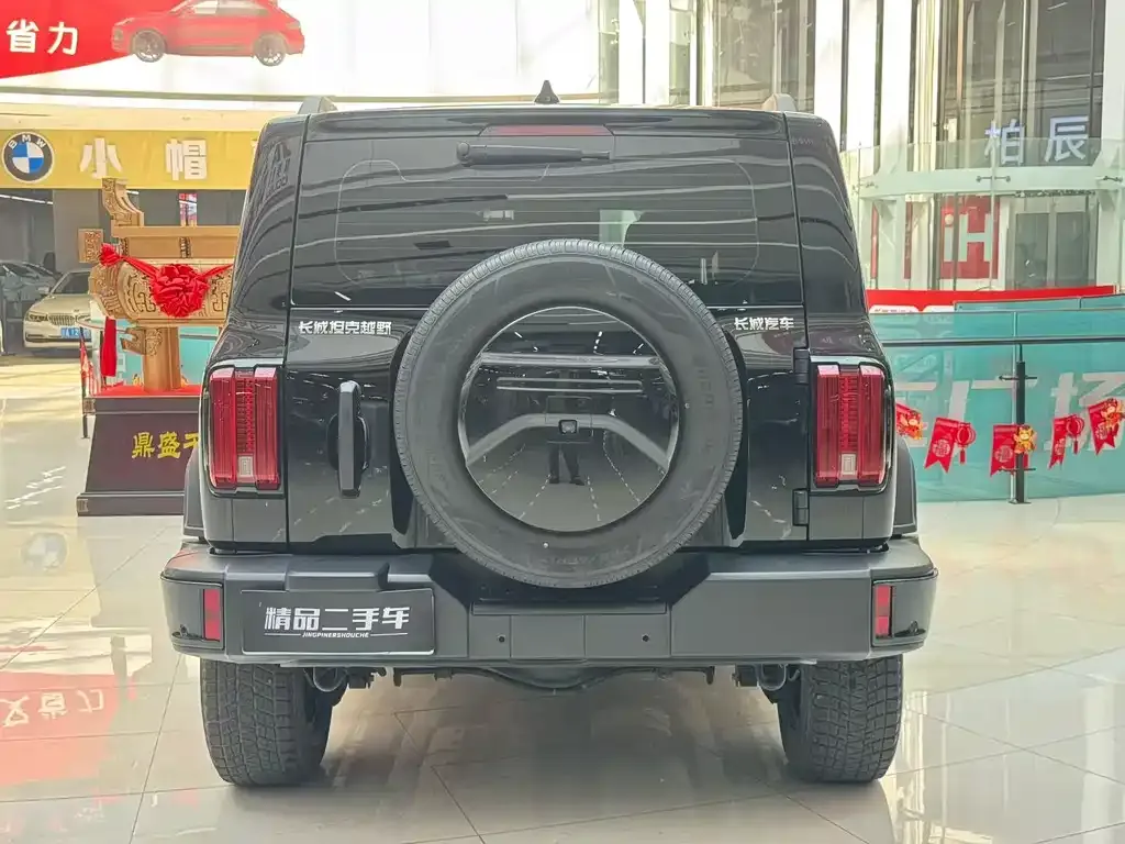 Tank 300 2024 из CN, фото 7