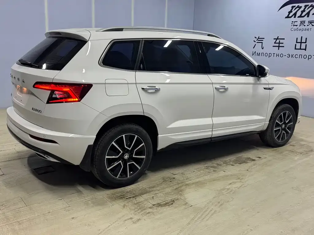 Skoda Karoq 2022 из CN, фото 6