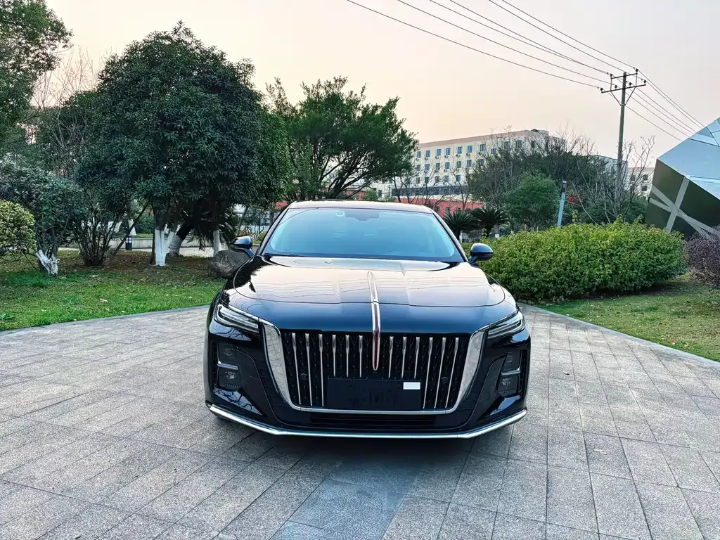 Hongqi H5 — фото 10
