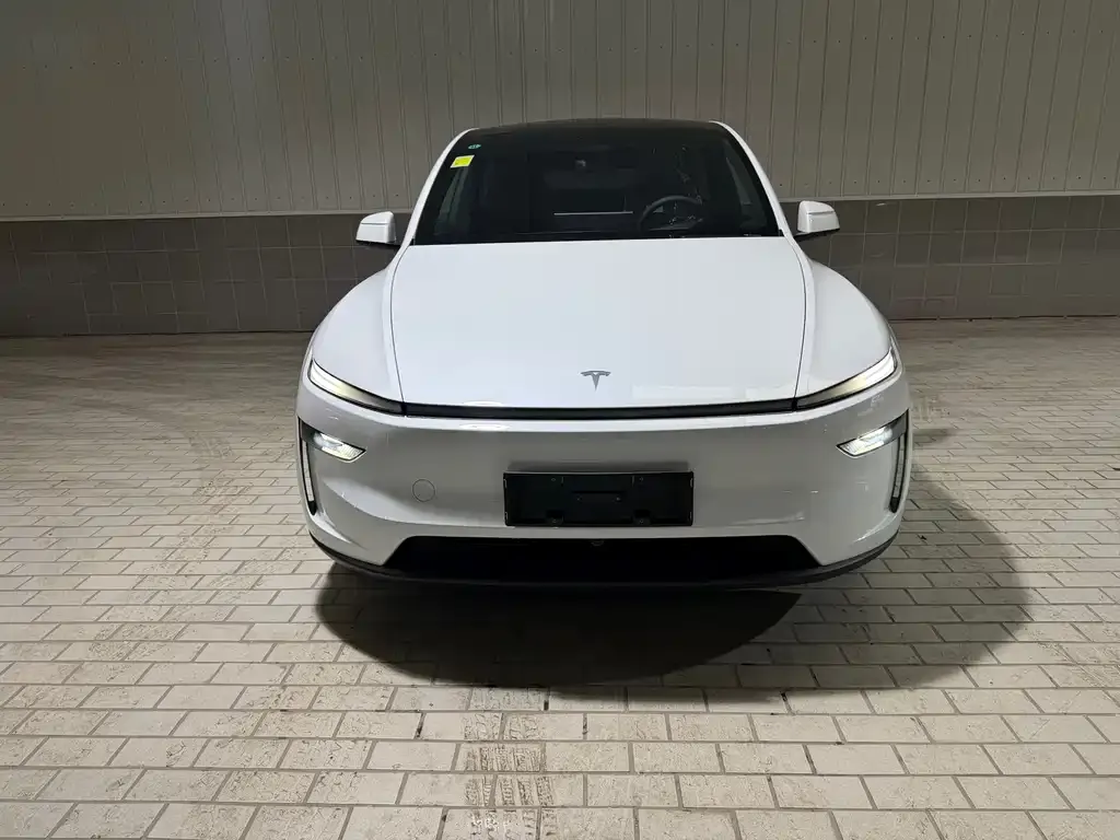 Tesla Model Y — фото 5