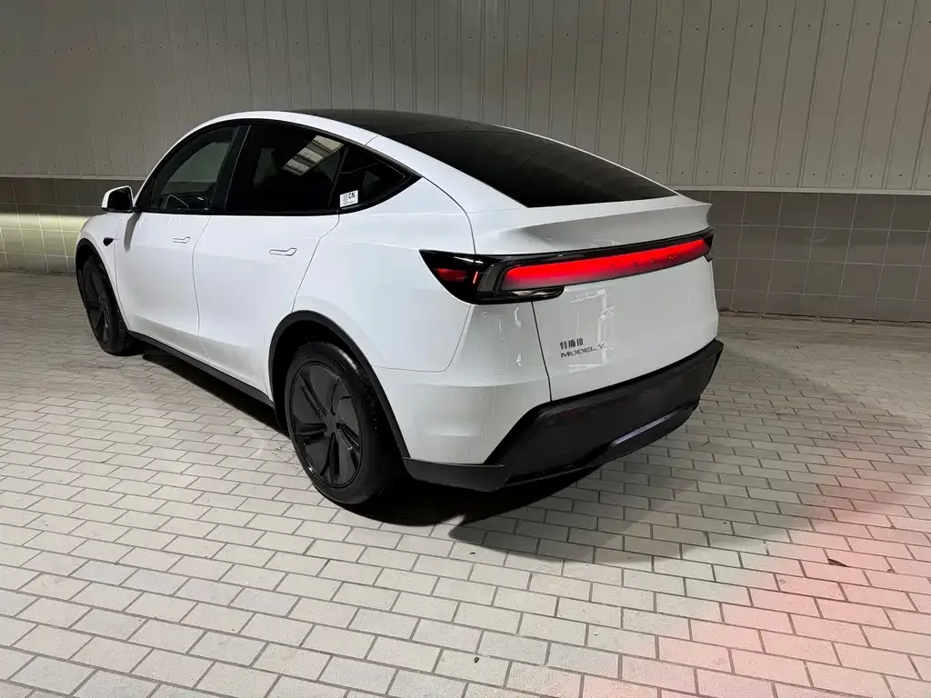 Tesla Model Y — фото 9