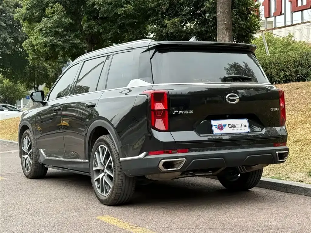 GAC Motor Trumpchi GS8 2023 из CN, фото 9