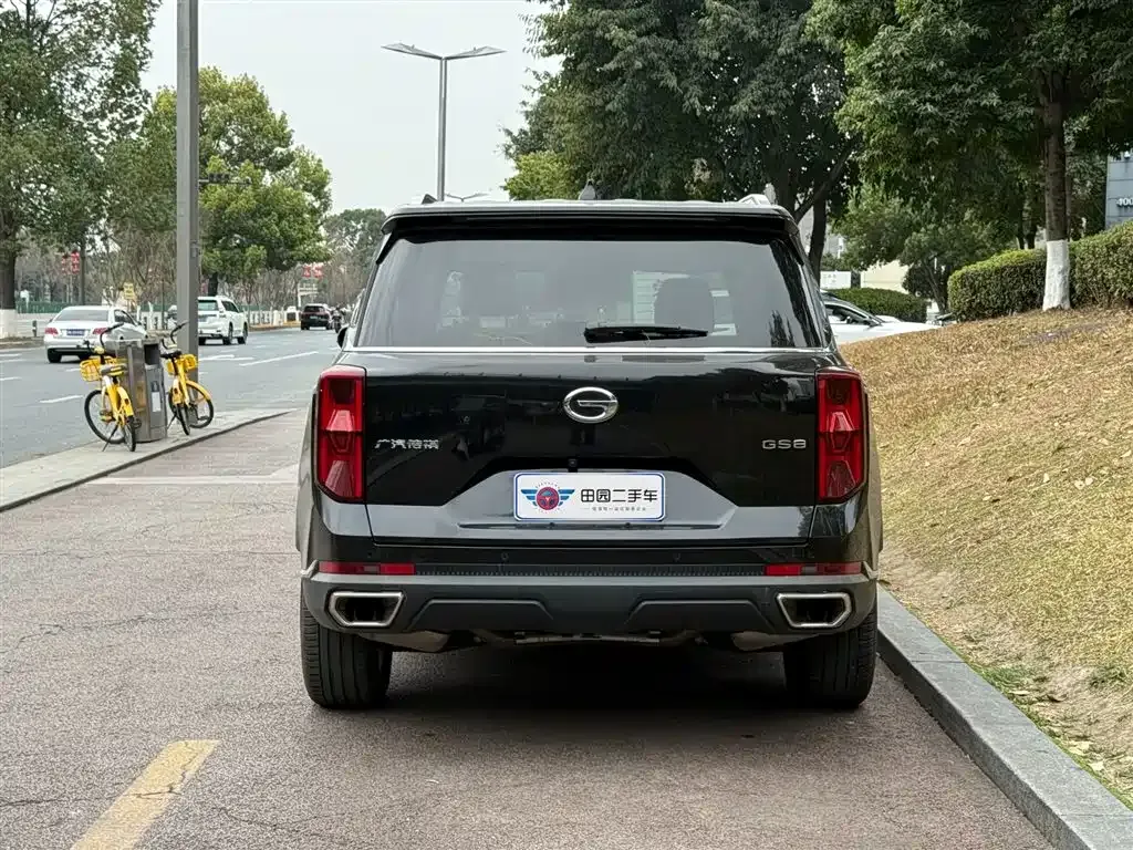 GAC Motor Trumpchi GS8 2023 из CN, фото 6