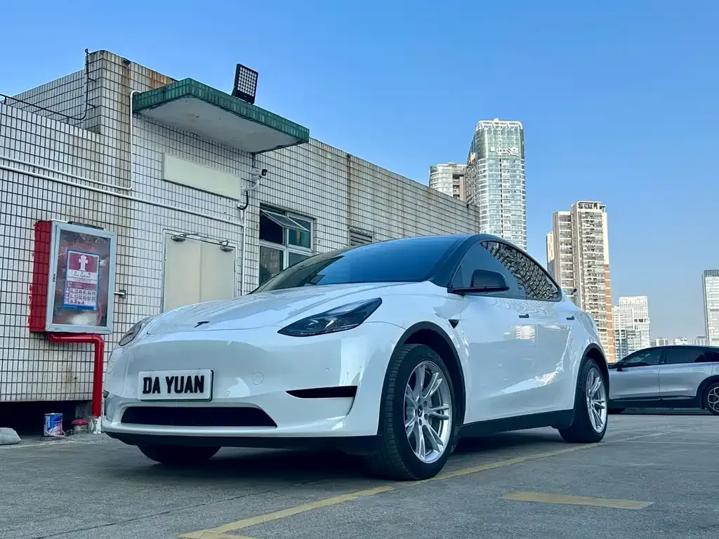 Tesla Model Y — фото 1