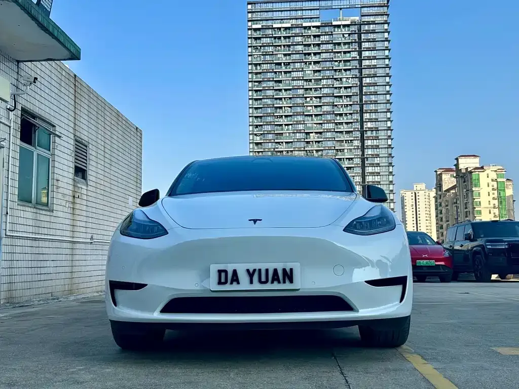 Tesla Model Y — фото 10