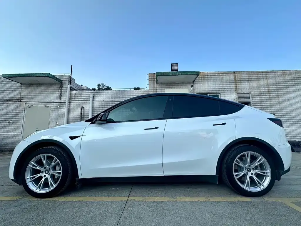 Tesla Model Y — фото 5