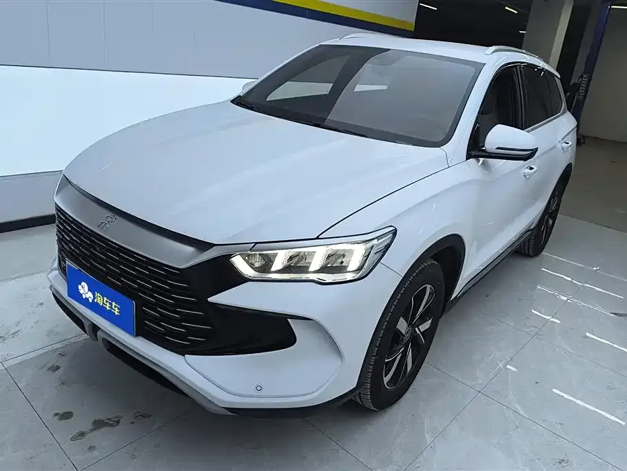 BYD Pro New Energy 2024 из CN, фото 1