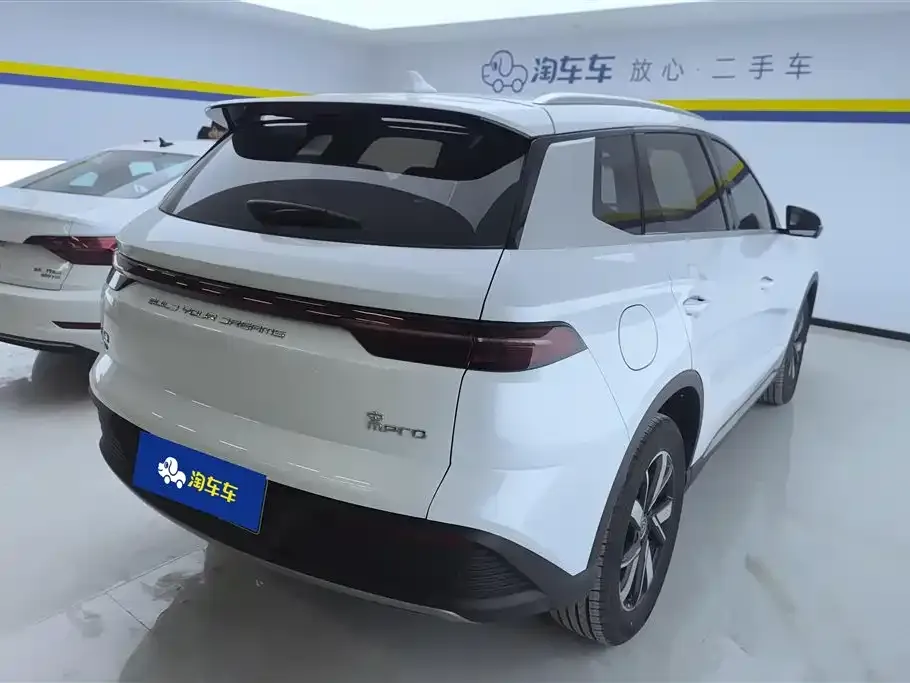 BYD Pro New Energy 2024 из CN, фото 6