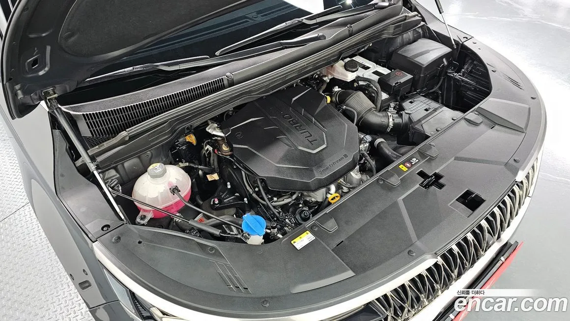 Kia Carnival — фото 10