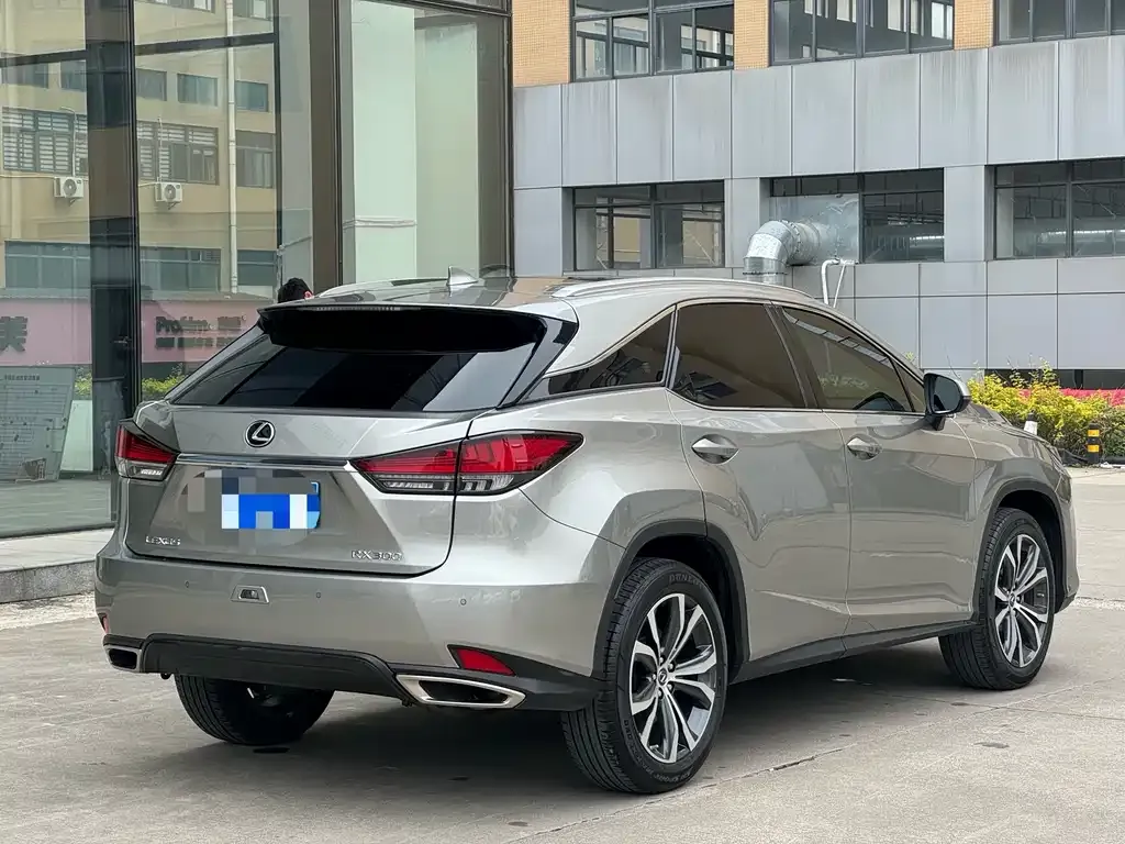 Lexus RX — фото 9