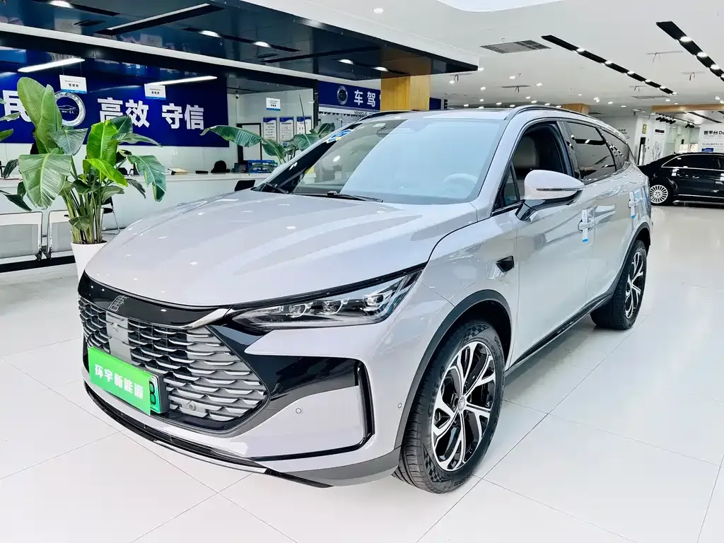 BYD Tang New Energy — фото 1