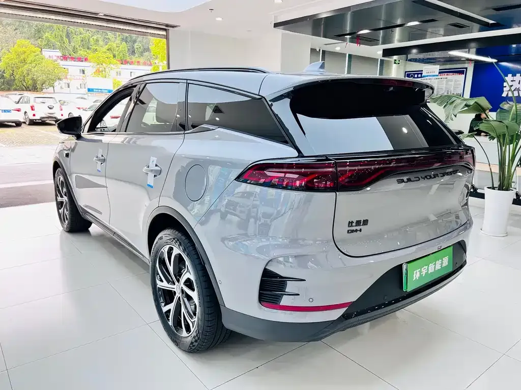 BYD Tang New Energy — фото 9
