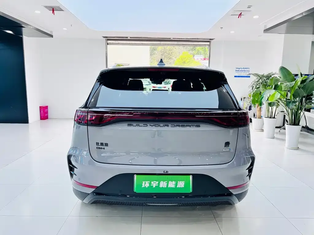 BYD Tang New Energy — фото 10