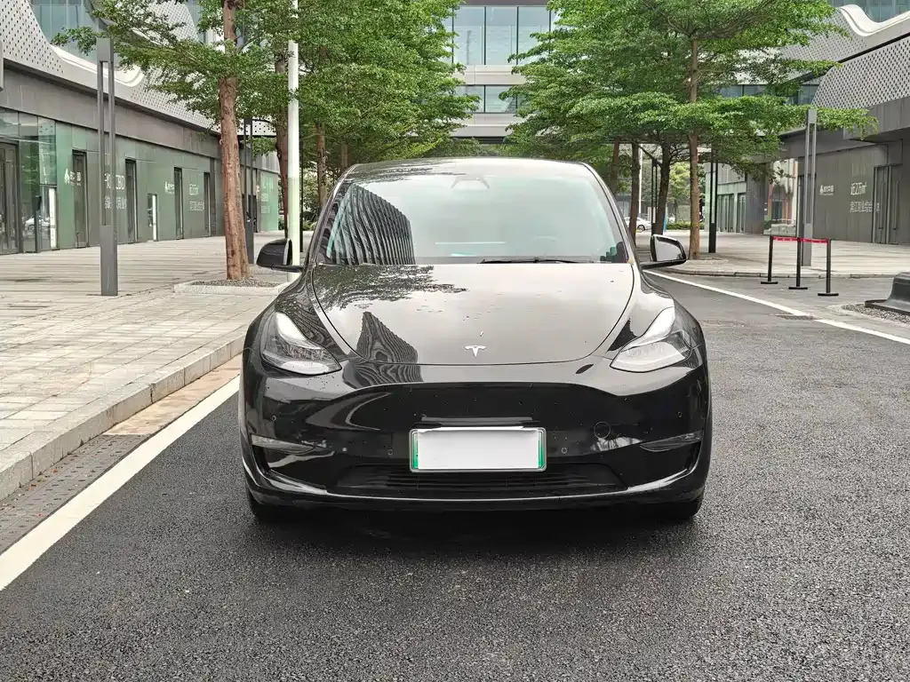 Tesla Model Y — фото 9