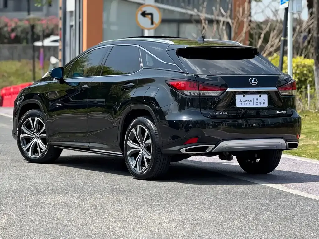 Lexus RX 2021 из CN, фото 8