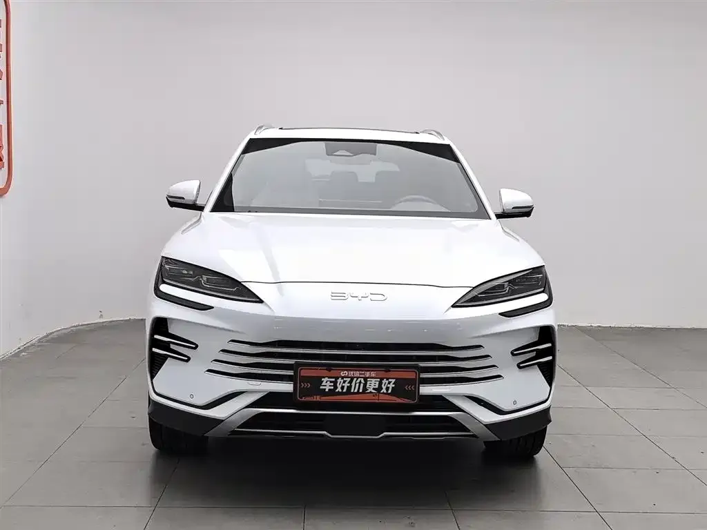 BYD PLUS New Energy — фото 8