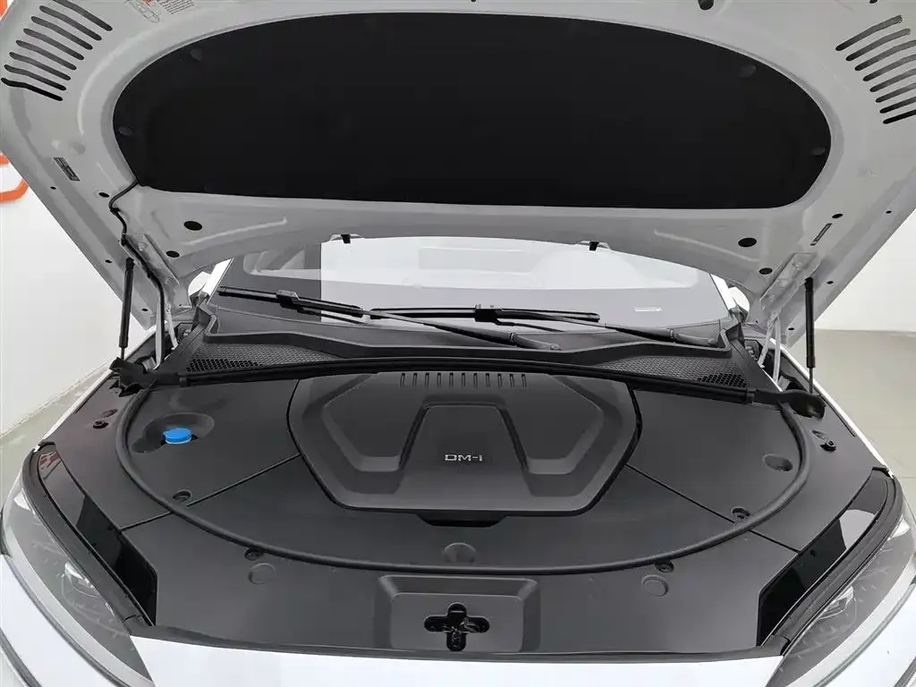BYD PLUS New Energy — фото 7