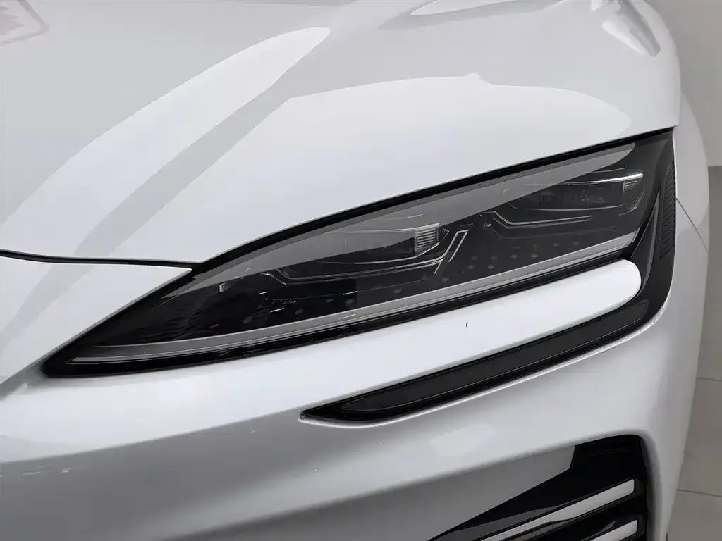 BYD PLUS New Energy — фото 4