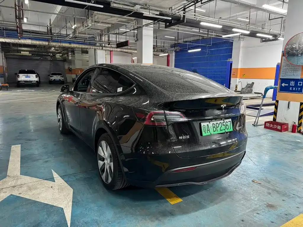 Tesla Model Y 2023 из CN, фото 9