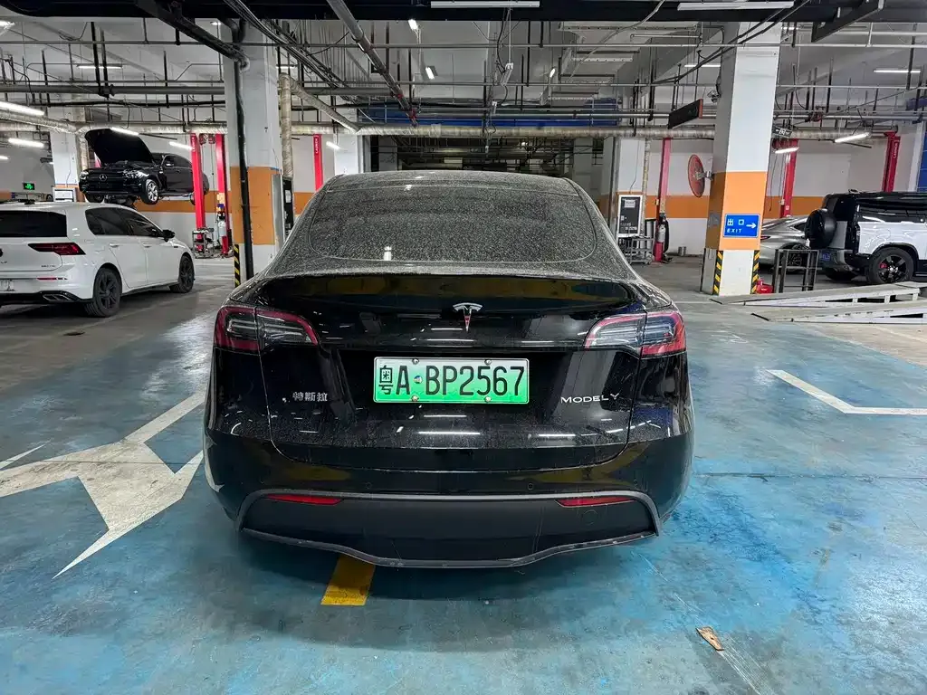 Tesla Model Y 2023 из CN, фото 4