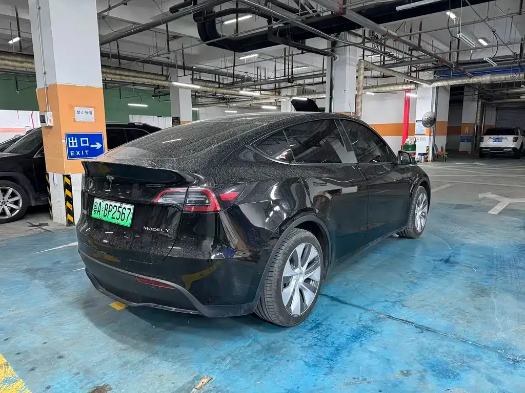 Tesla Model Y 2023 из CN, фото 5