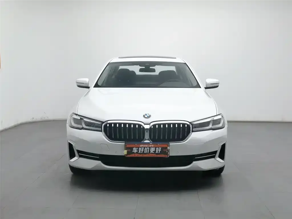 BMW 5 Series 2022 из CN, фото 5