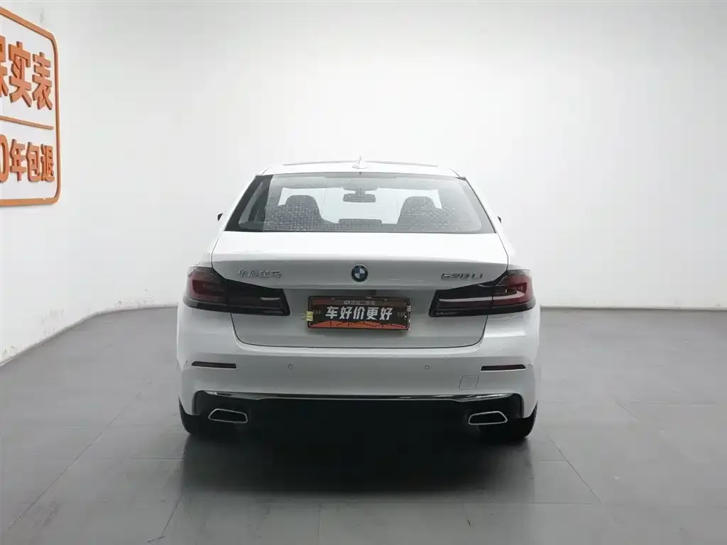 BMW 5 Series 2022 из CN, фото 4