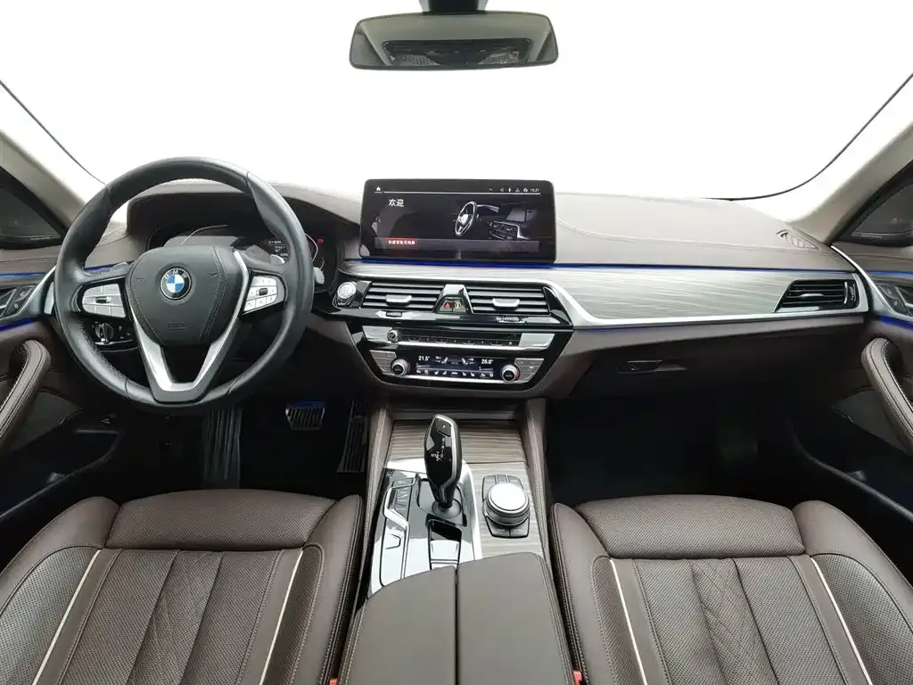 BMW 5 Series 2022 из CN, фото 9
