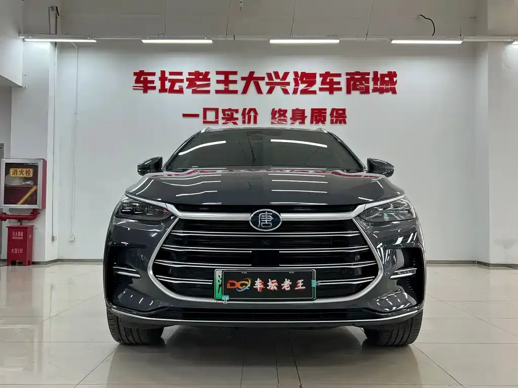 BYD Tang New Energy — фото 2