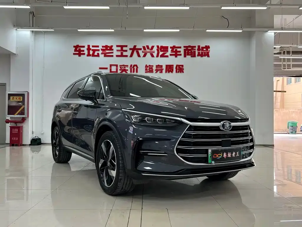 BYD Tang New Energy — фото 4