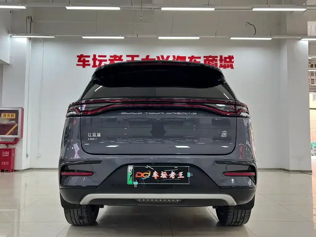 BYD Tang New Energy — фото 5