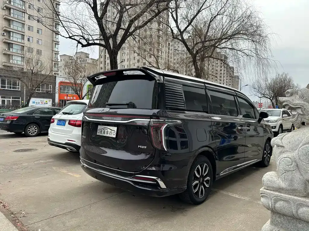 Hongqi HQ9 — фото 8