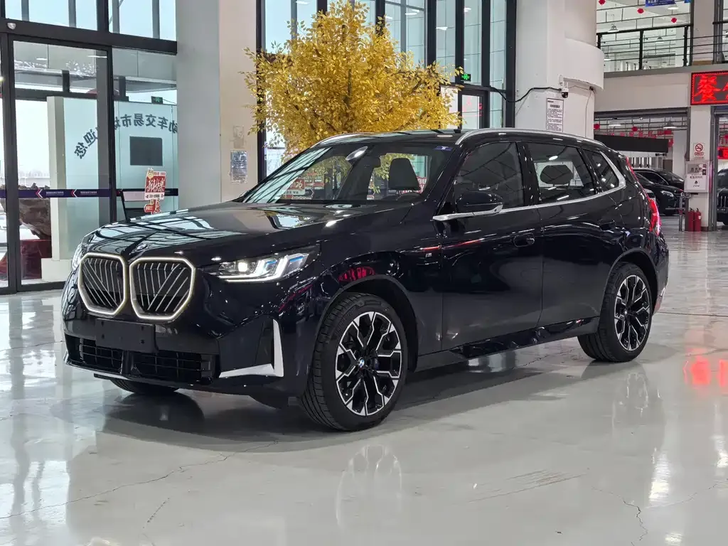 BMW X3 2025 из CN, фото 1