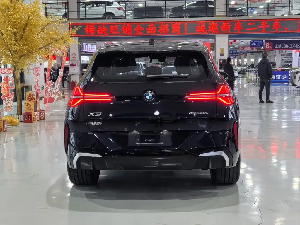 BMW X3 2025 из CN, фото 5