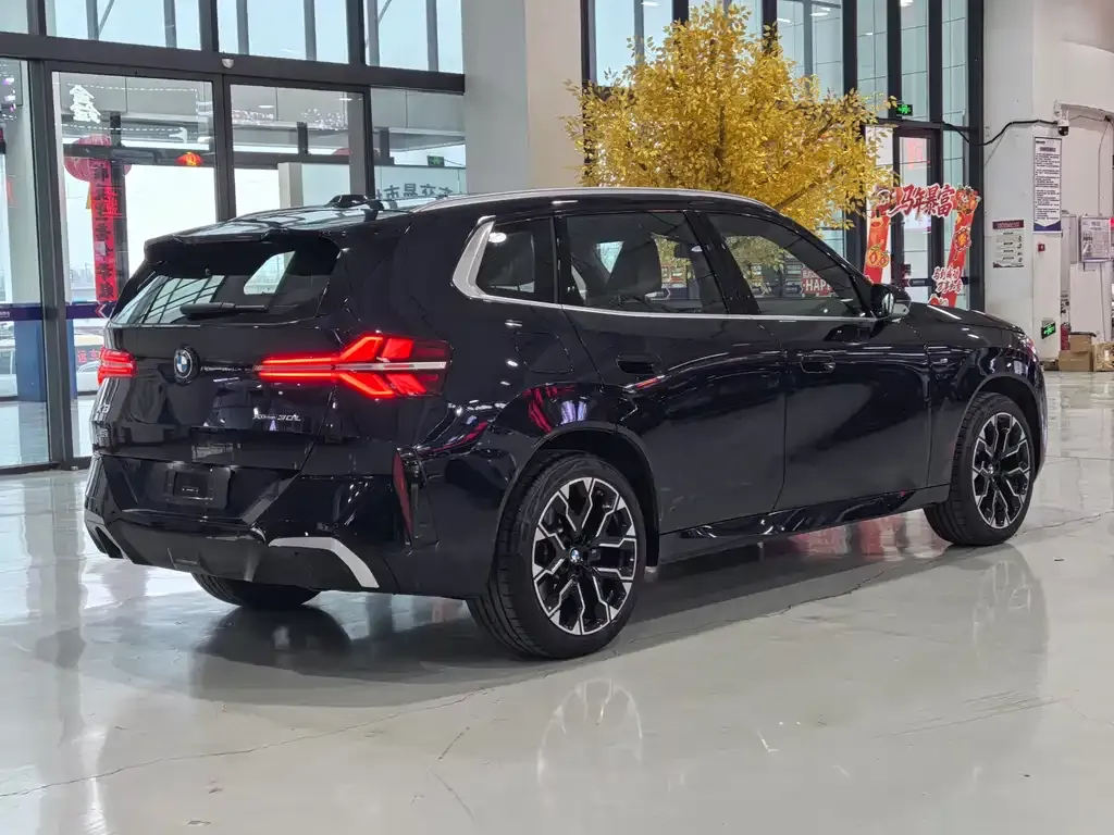 BMW X3 2025 из CN, фото 8