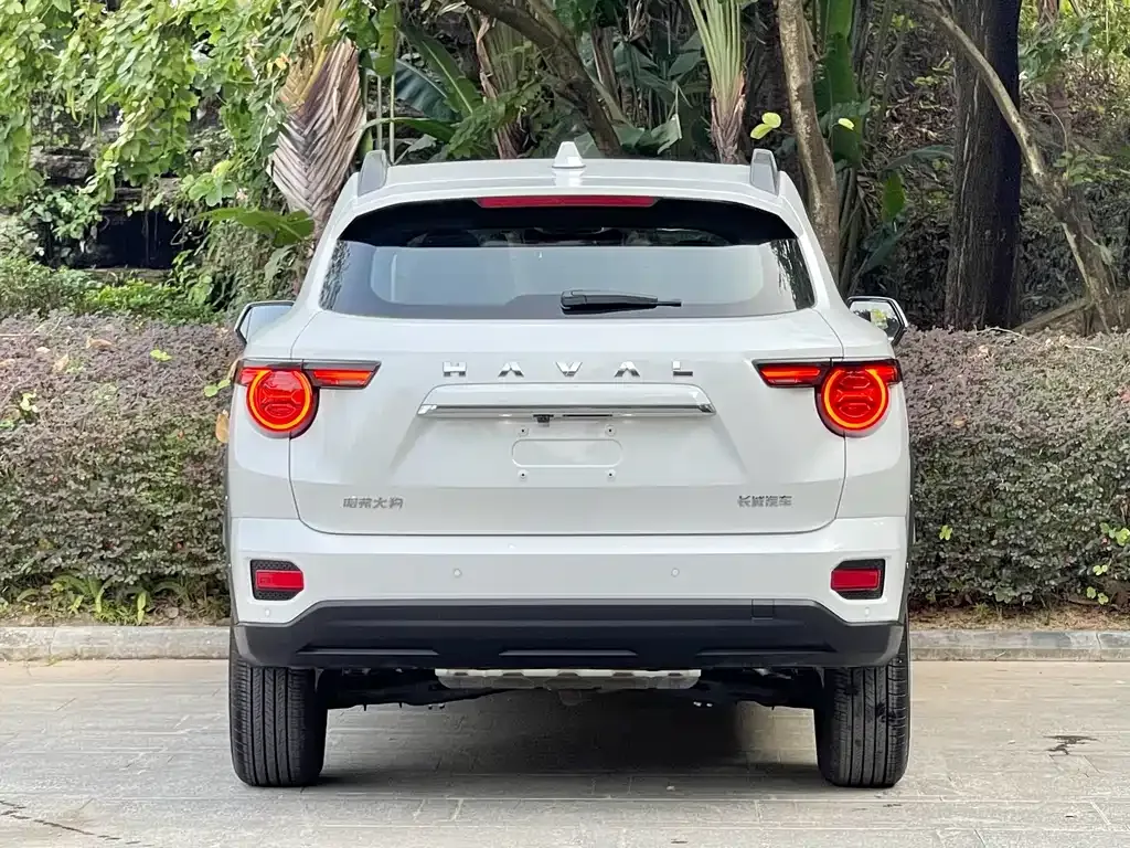 Haval H7 (Big Dog Plus) — фото 2
