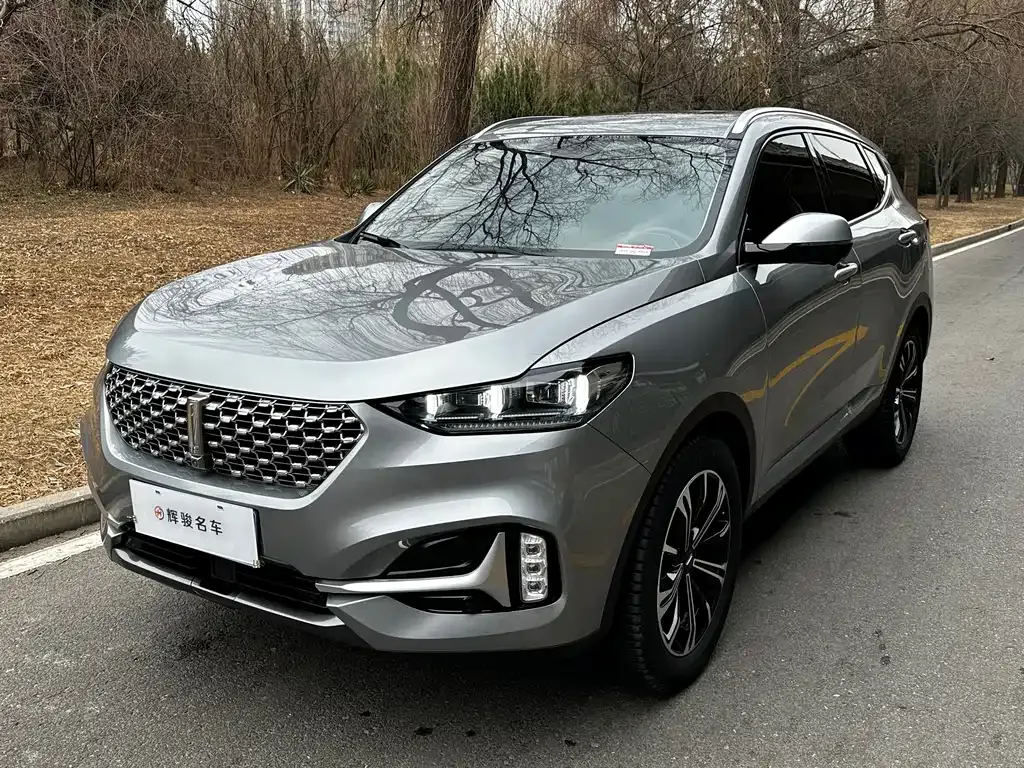 Wey VV6 2021 из CN, фото 1