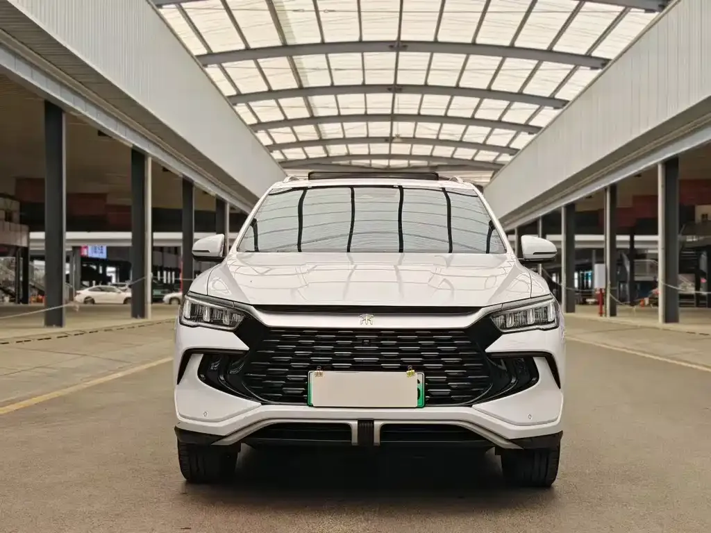 BYD Pro New Energy — фото 7