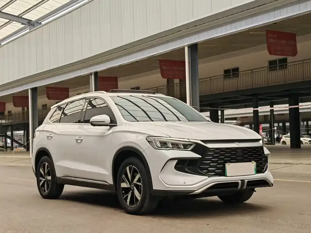 BYD Pro New Energy — фото 6